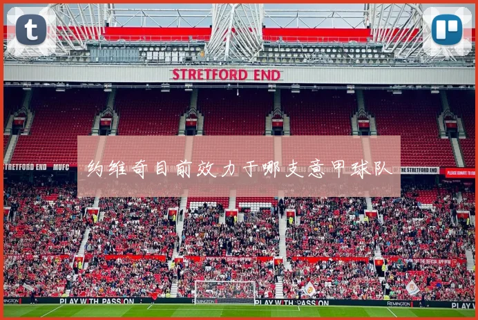 约维奇目前效力于哪支意甲球队