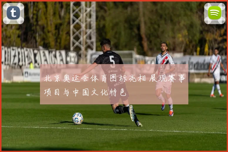 北京奥运会体育图标亮相 展现赛事项目与中国文化特色