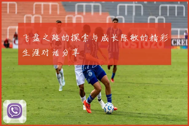 飞盘之路的探索与成长陈敏的精彩生涯对话分享